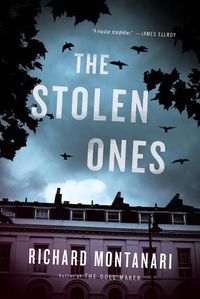 Cover image for The Stolen Ones