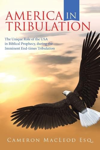 Cover image for America in Tribulation