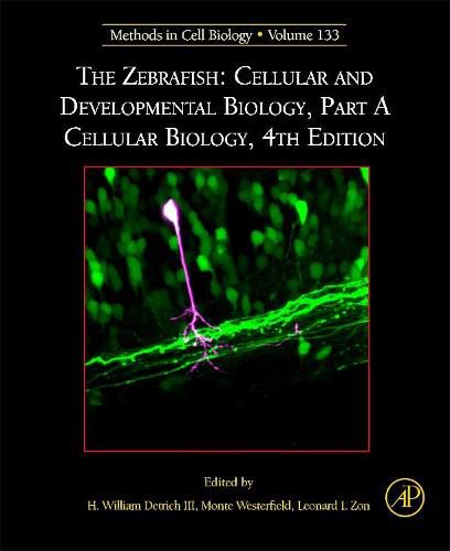 Cover image for The Zebrafish: Cellular and Developmental Biology, Part A Cellular Biology