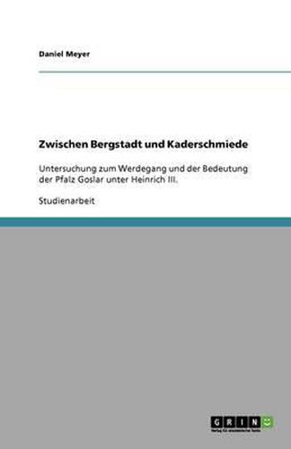 Zwischen Bergstadt und Kaderschmiede: Untersuchung zum Werdegang und der Bedeutung der Pfalz Goslar unter Heinrich III.