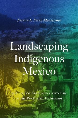 Cover image for Landscaping Indigenous Mexico