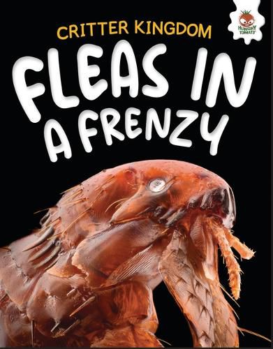 Cover image for Fleas in a Frenzy