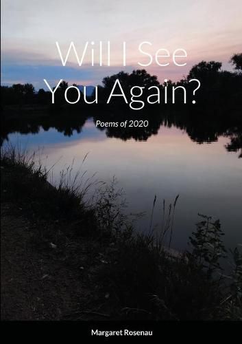 Cover image for Will I See You Again?