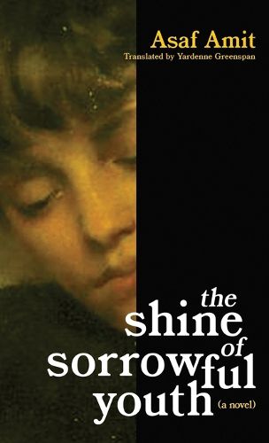 Cover image for The shine of sorrowful youth