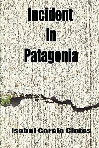 Cover image for Incident in Patagonia