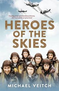 Cover image for Heroes of the Skies