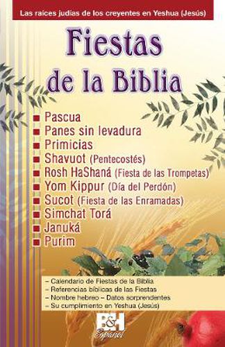 Cover image for Fiestas de la Biblia