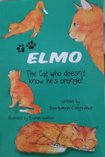 Cover image for Elmo the Cat Who Doesn't Know He's Orange