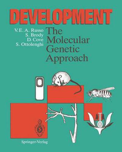 Cover image for Development: The Molecular Genetic Approach