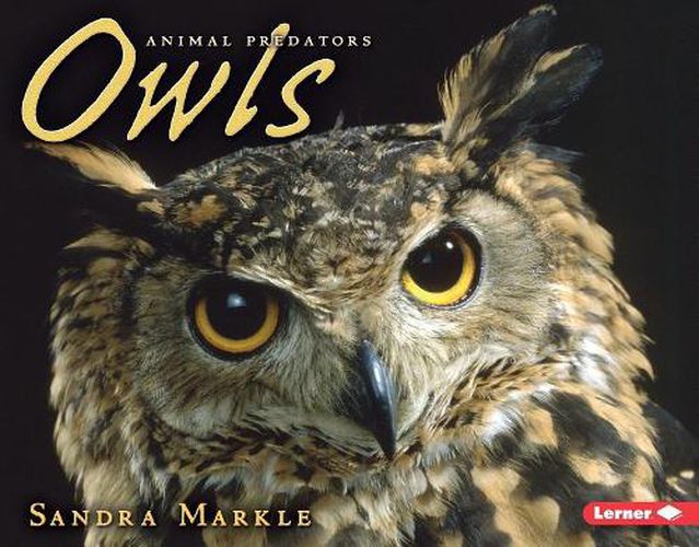 Cover image for Owls