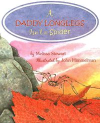 Cover image for A Daddy Longlegs Isn't a Spider