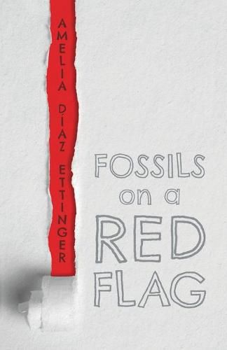 Cover image for Fossils On A Red Flag