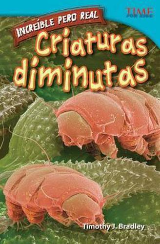 Increible pero real: Criaturas diminutas (Strange but True: Tiny Creatures) (Spanish Version)