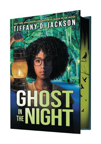 Cover image for Ghost in the Night