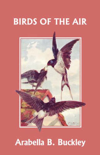 Cover image for Birds of the Air (Yesterday's Classics)