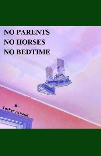 Cover image for No Parents No Horses No Bedtime