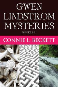 Cover image for Gwen Lindstrom Mysteries - Books 1-3