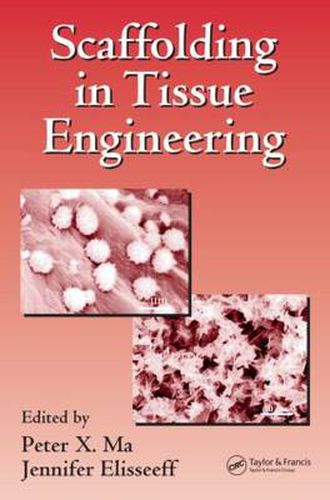 Cover image for Scaffolding In Tissue Engineering