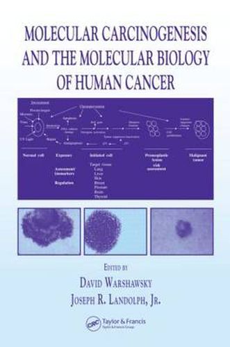 Cover image for Molecular Carcinogenesis and the Molecular Biology of Human Cancer