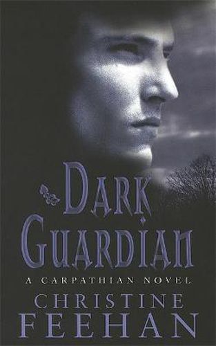 Cover image for Dark Guardian: Number 9 in series