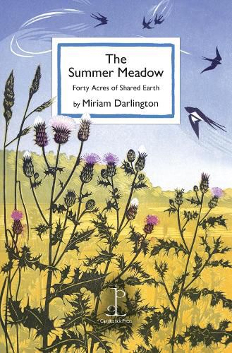 Cover image for The Summer Meadow