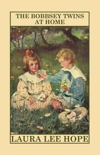 Cover image for The Bobbsey Twins at Home