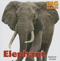 Cover image for Elephant