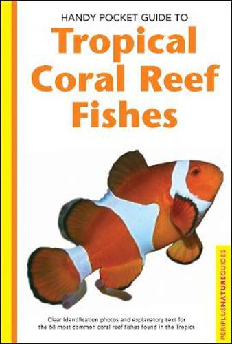 Cover image for Handy Pocket Guide to Tropical Coral Reef Fishes