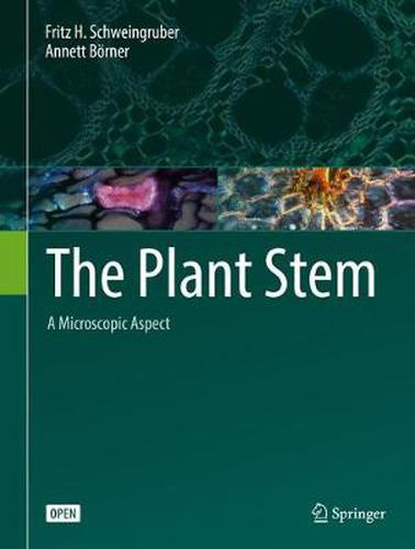 The Plant Stem: A Microscopic Aspect