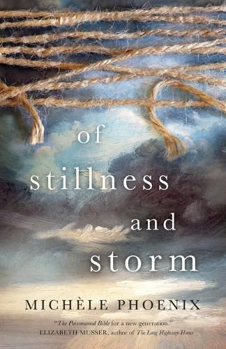 Cover image for Of Stillness and Storm