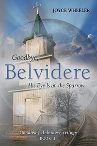 Cover image for Goodbye, Belvidere: His Eye Is on the Sparrow