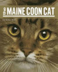 Cover image for The Maine Coon Cat