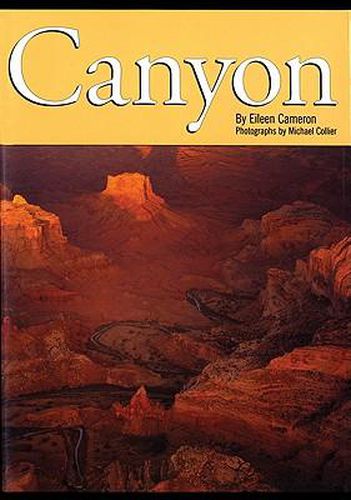 Cover image for Canyon