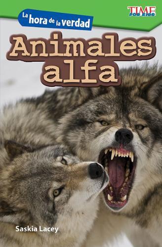 Cover image for La hora de la verdad: Animales alfa (Showdown: Alpha Animals)