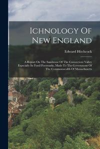 Cover image for Ichnology Of New England