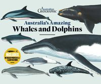 Cover image for Australia's Amazing Whales and Dolphins