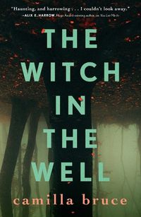 Cover image for The Witch in the Well