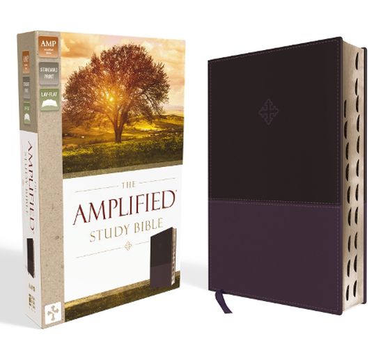 Cover image for The Amplified Study Bible, Leathersoft, Purple, Thumb Indexed