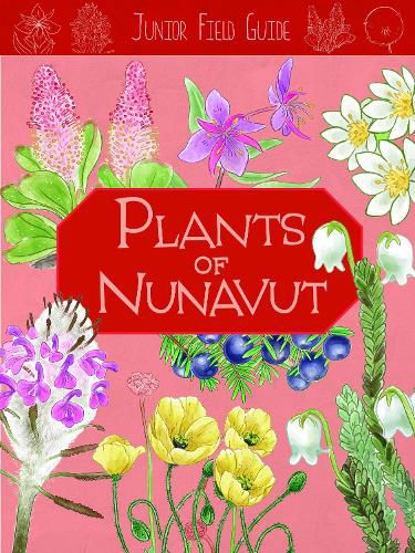 Cover image for Junior Field Guide: Plants of Nunavut: English Edition