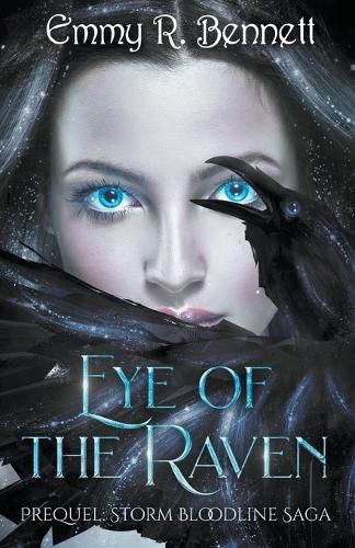 Cover image for Eye of the Raven