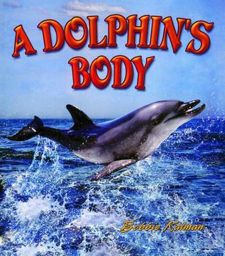 Cover image for Dolphins Body