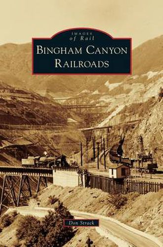 Cover image for Bingham Canyon Railroads