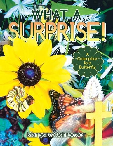 Cover image for What a Surprise!