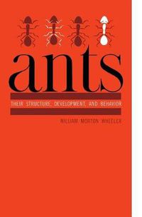 Cover image for Ants: Their Structure, Development, and Behavior