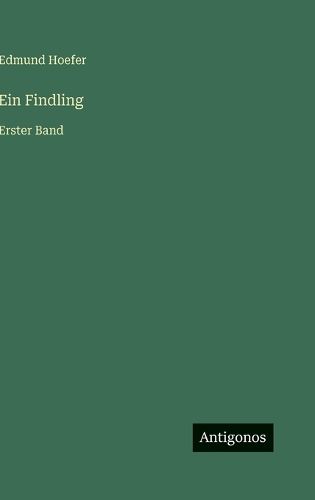 Cover image for Ein Findling