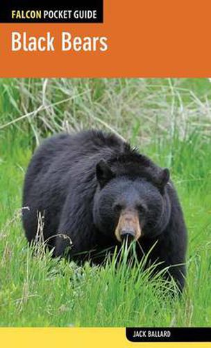 Cover image for Black Bears