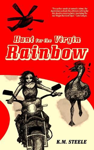 Cover image for Hunt for the Virgin Rainbow