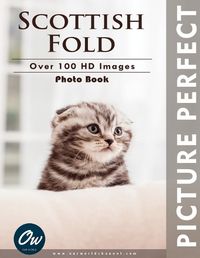 Cover image for Scottish Fold