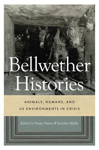 Cover image for Bellwether Histories