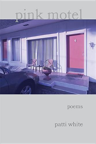 Cover image for Pink Motel